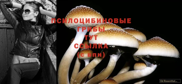 марки nbome Лихославль