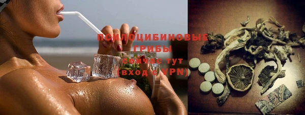 а пвп мука Куйбышев