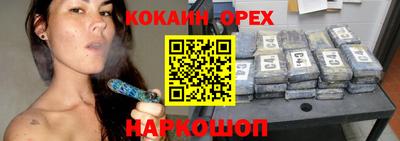 шишки Кандалакша