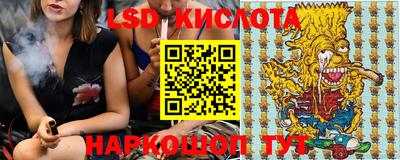 шишки Кандалакша