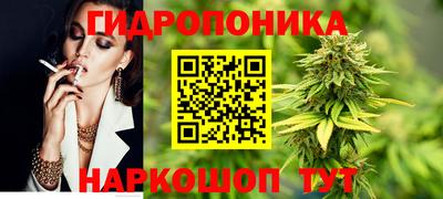 шишки Кандалакша