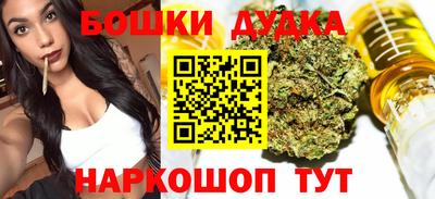 шишки Кандалакша