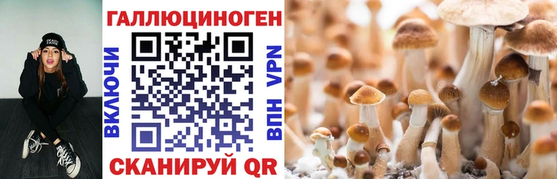 Галлюциногенные грибы GOLDEN TEACHER  где найти наркотики  Бугуруслан 