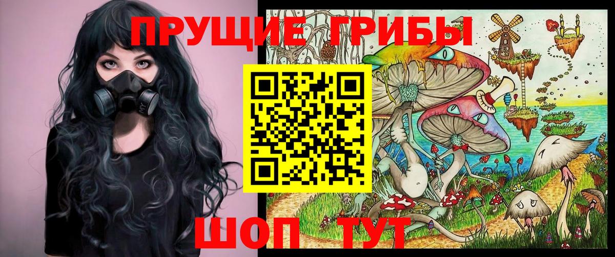 Галлюциногенные грибы Psilocybe  Вход с VPN  Бугуруслан 
