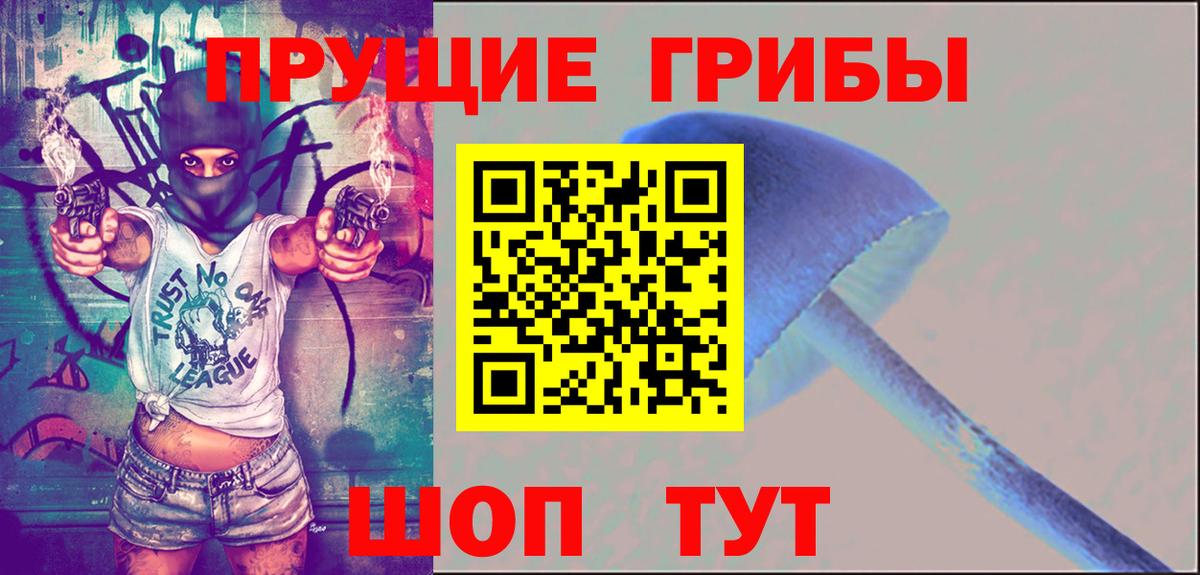 Галлюциногенные грибы Cubensis Бугуруслан