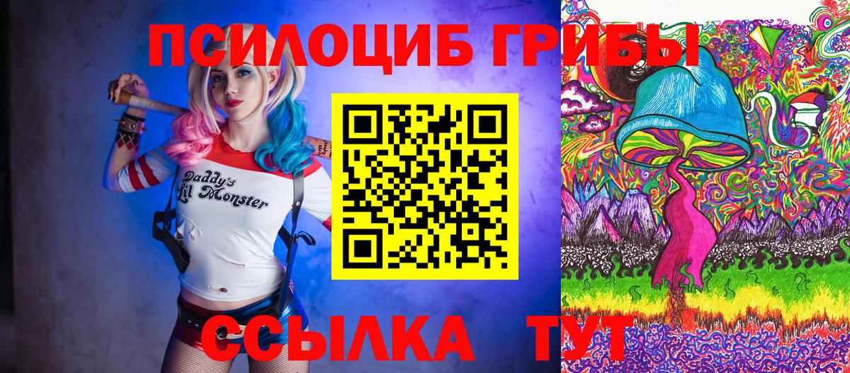 наркотики  Бугуруслан  Псилоцибиновые грибы Psilocybine cubensis 